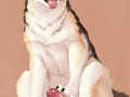 1480110879.znewnav_ggpbpxehosvany.cat.png